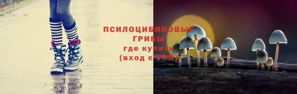 тгк Алексеевка