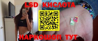 прущие грибы Тулун