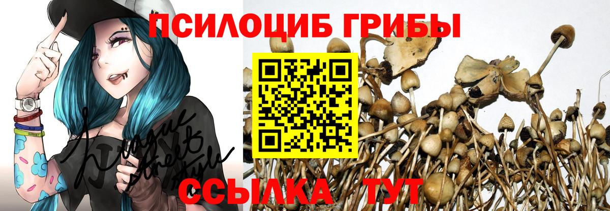 Галлюциногенные грибы ЛСД Петровск